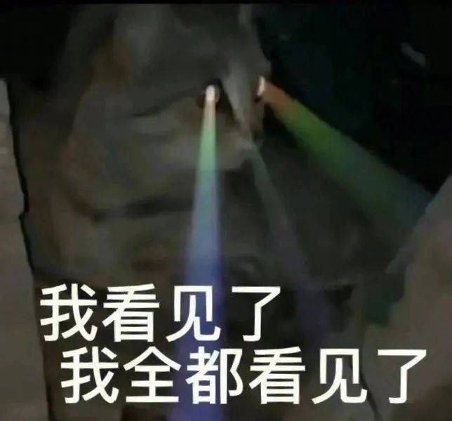 表情包 | 我看见了 我全都看见了 拿图点赞、吱声